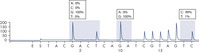 Normal genotype in codons 12 and 13.
